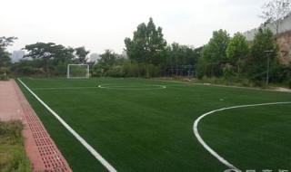 七人制足球场造价明细 七人制足球场造价明细